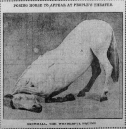 Snowball, courtesy of "the Sunday Oregonian" (circa. 1911)