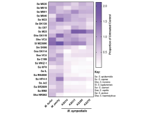 A seat-map showing forming units enumerated to calculate the proportion of bacteria surviving the indicated CFS treatment relative to the media control.