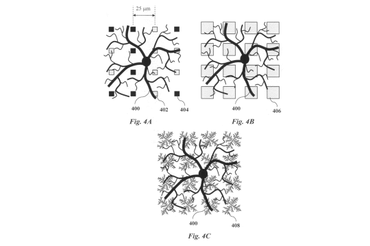 A schematic of an array of Euclidean electrodes overlaid on a retinal neuron.