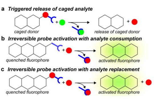 Depiction of the triggered release of caged analyte.