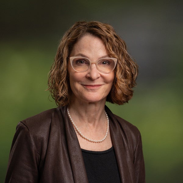 Beth Plale, SCDS Exec Director