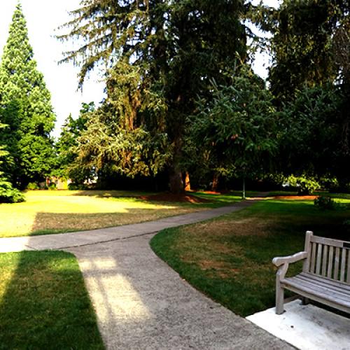 Pioneer Father Lawn