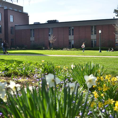 Lillis North Lawn