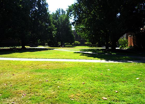 Memorial Quad