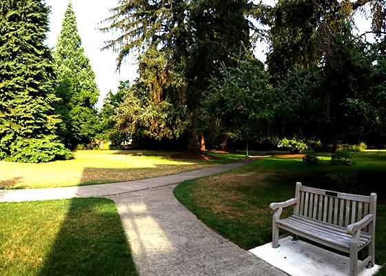 Pioneer Father Lawn