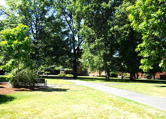 Pioneer Mother Lawn