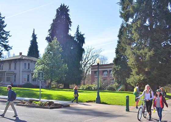 Collier Lawn