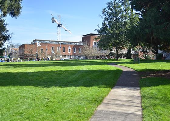 Collier Lawn