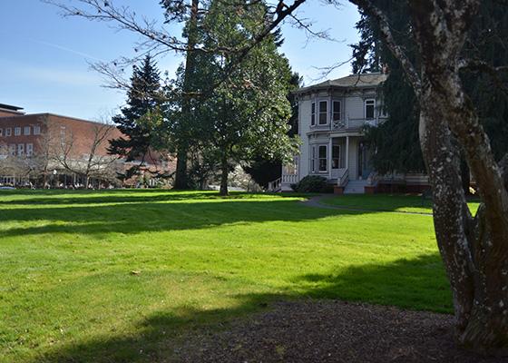 Collier Lawn