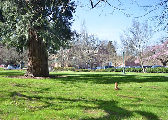 EMU South Lawn