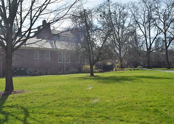Hendricks Lawn
