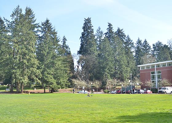 Knight Library South Lawn