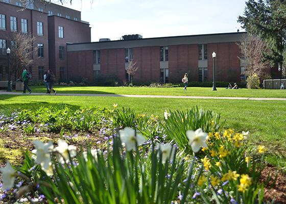 Lillis North Lawn