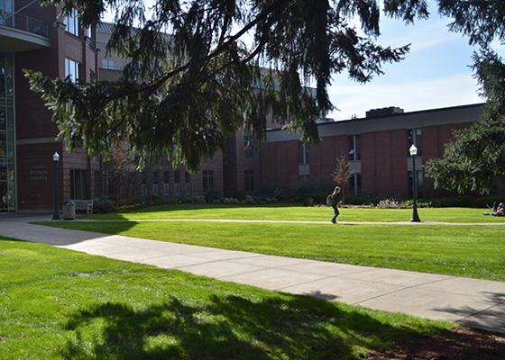 Lillis North Lawn
