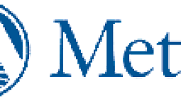 Metro Logo