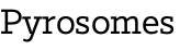 Pyrosomes