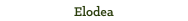 Elodea