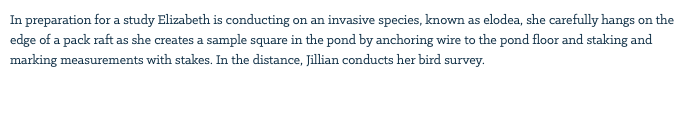 In preparation for a study Elizabeth is conducting on an invasive species, known as elodea, she carefully hangs on the edge of a pack raft as she creates a sample square in the pond by anchoring wire to the pond floor and staking and marking measurements with stakes. In the distance, Jillian conducts her bird survey. 