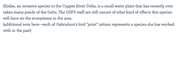 Elodea, an invasive species to the Copper River Delta, is a small water plant that has recently over taken many ponds of the Delta. The USFS staff are still unsure of what kind of effects this species will have on the ecosystems in the area. (additional note here—each of Gabrielson’s bird “print” tattoos represents a species she has worked with in the past) 
