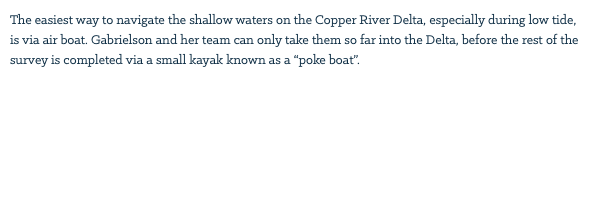 The easiest way to navigate the shallow waters on the Copper River Delta, especially during low tide, is via air boat. Gabrielson and her team can only take them so far into the Delta, before the rest of the survey is completed via a small kayak known as a “poke boat”.
