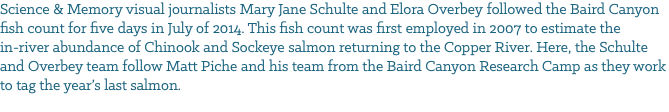Science & Memory visual journalists Mary Jane Schulte and Elora Overbey followed the Baird Canyon fish count for five days in July of 2014. This fish count was first employed in 2007 to estimate the in-river abundance of Chinook and Sockeye salmon returning to the Copper River. Here, the Schulte and Overbey team follow Matt Piche and his team from the Baird Canyon Research Camp as they work to tag the year’s last salmon. 