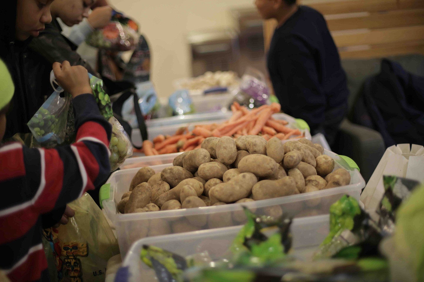 food drive
