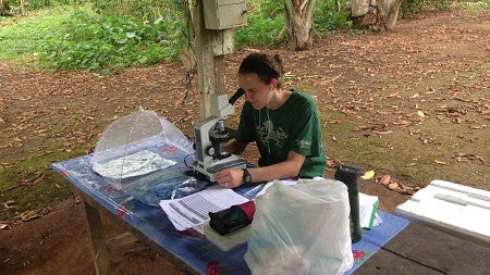 a person looks through a microscope in a rainforest environment