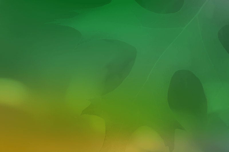 Placeholder image for profile photo