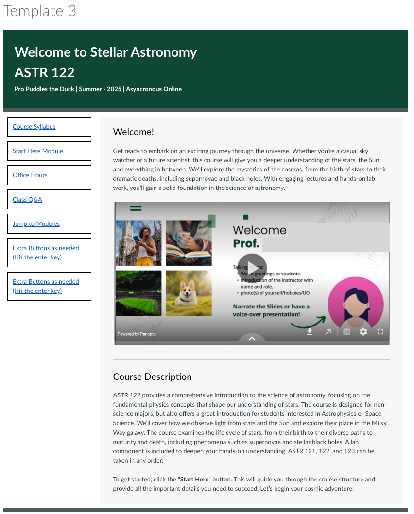 Screenshot of Template 3 homepage in Canvas