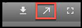 Viewer Button