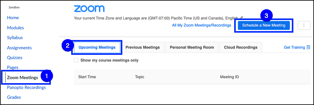 zoom interface in canvas