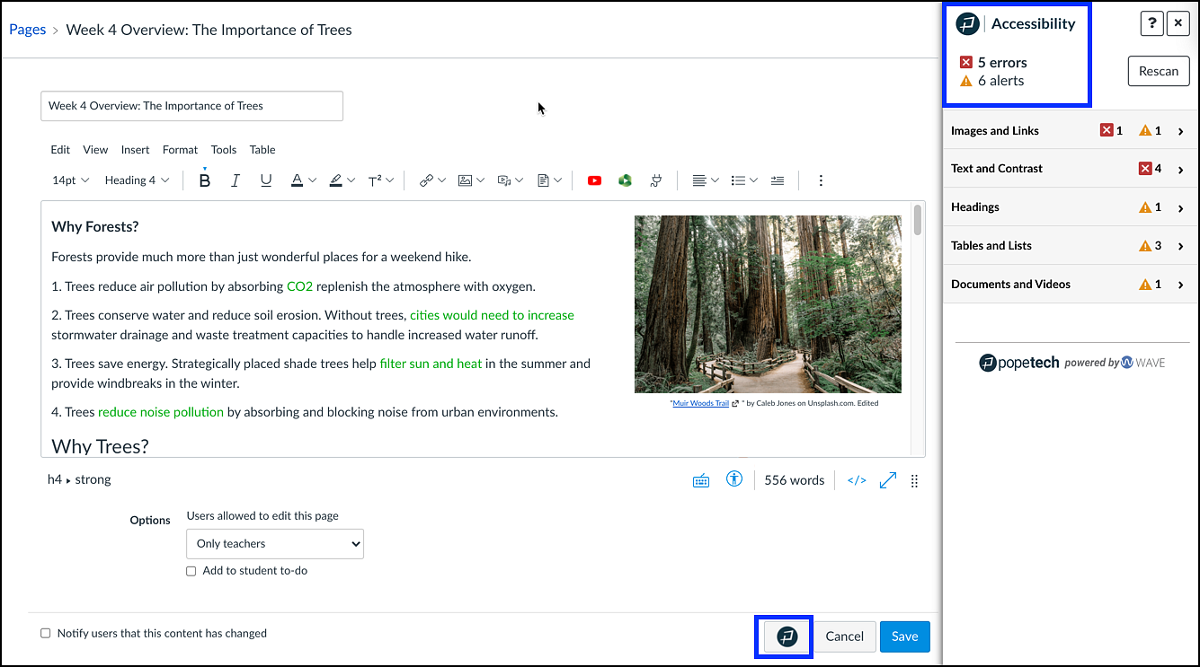 PopeTech Interface in Canvas