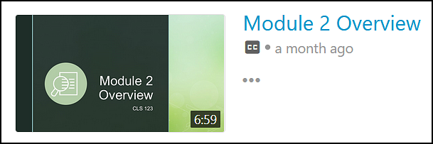 Video With Preview Image