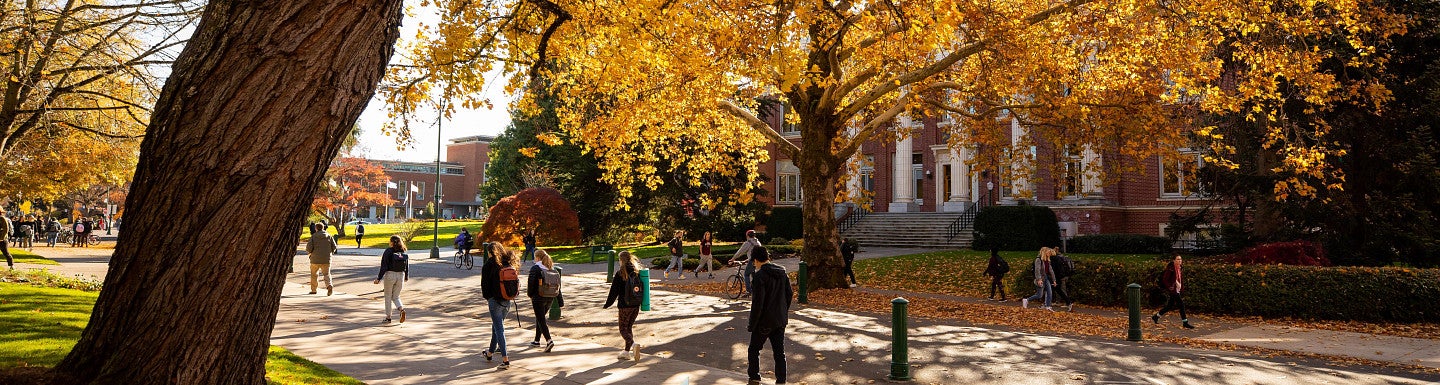 fall