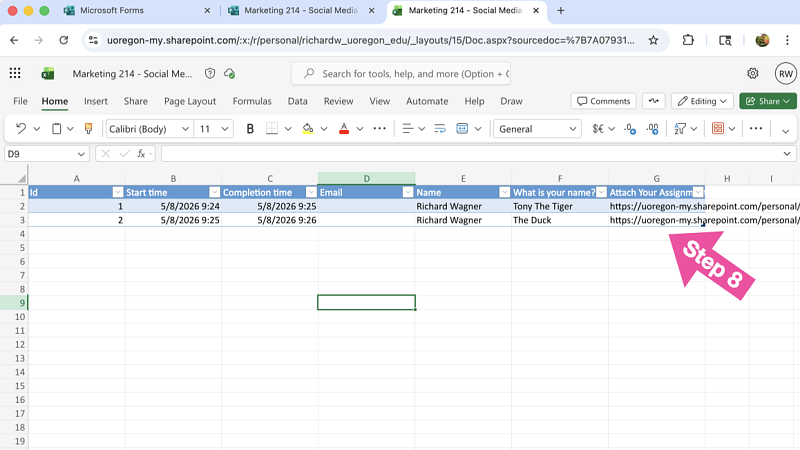 Review Step 8 - View Submitted Files from Excel