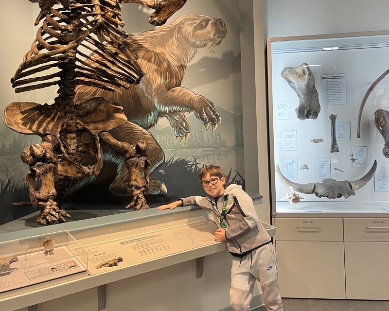 kid with animal skeleton at museum
