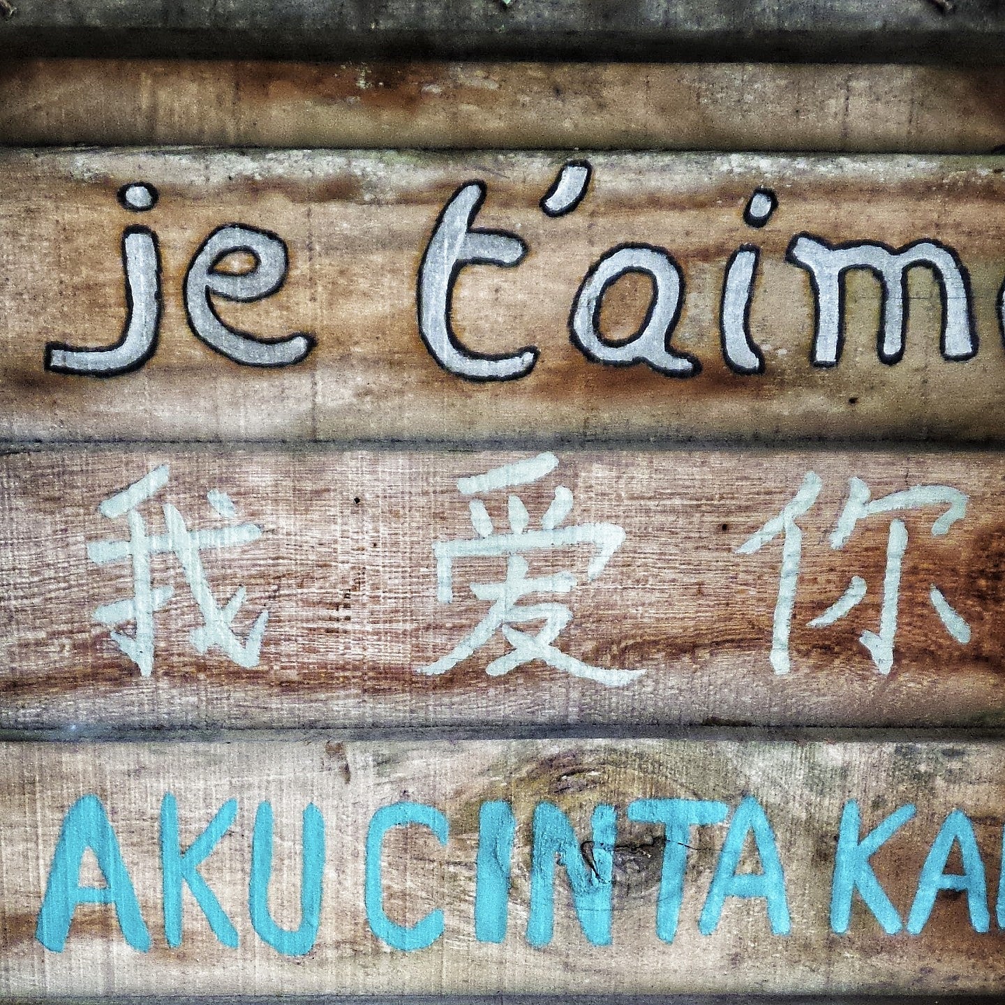 A wooden wall with "I love you" written in French, Chinese and Xhosa