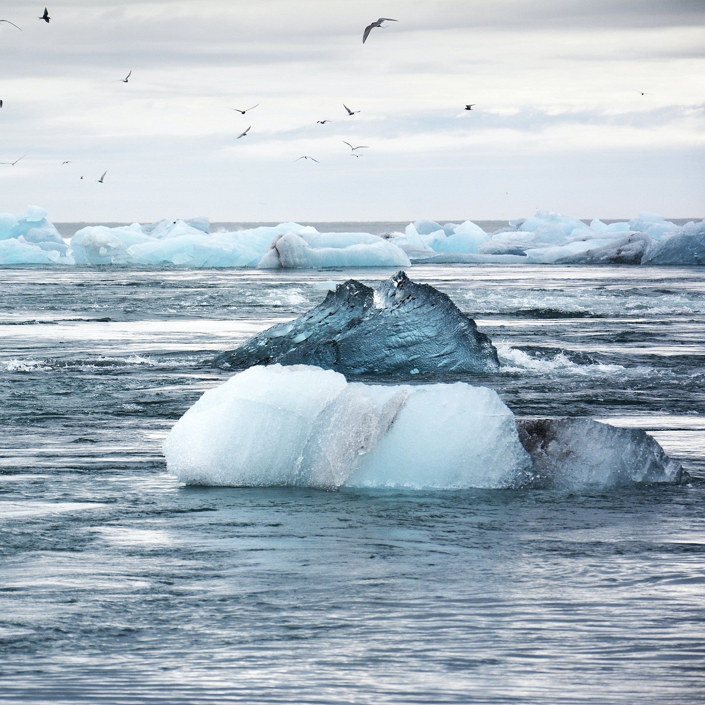 Glacier ice melting in the ocean