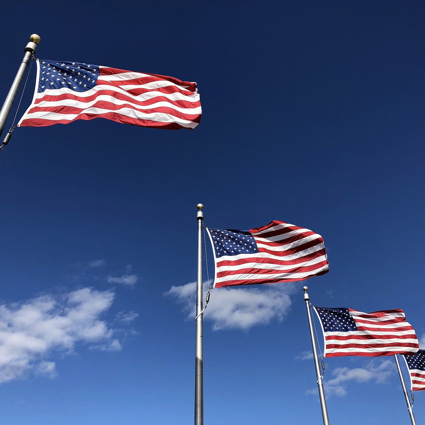 Multiple American Flags against a blue sky.