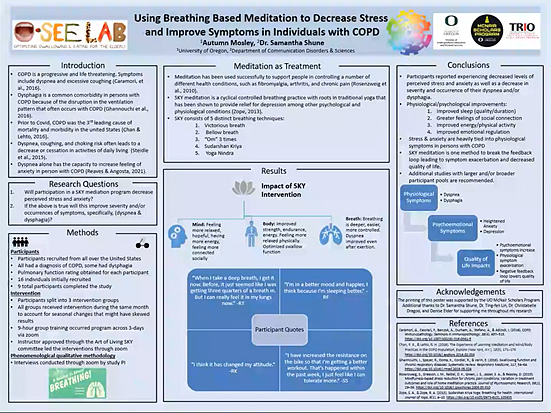 Example poster: a light blue background in the horizontal format.