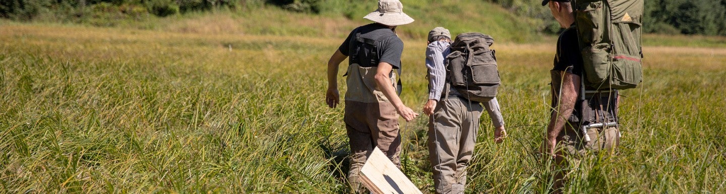 Three men walking away from the camera through a field carrying research equipment.