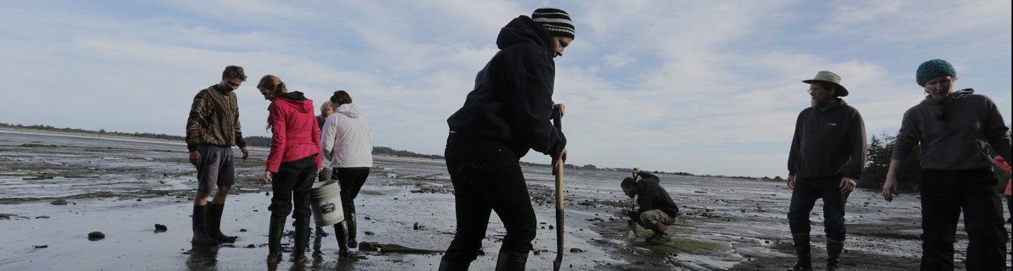 A group of UO student researchers digging at the beach.