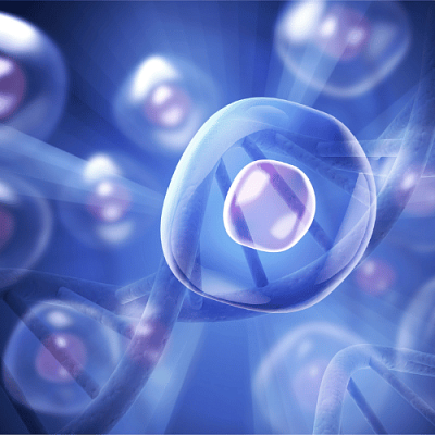 Ai generated image of a cell with a transparent DNA strand behind it.