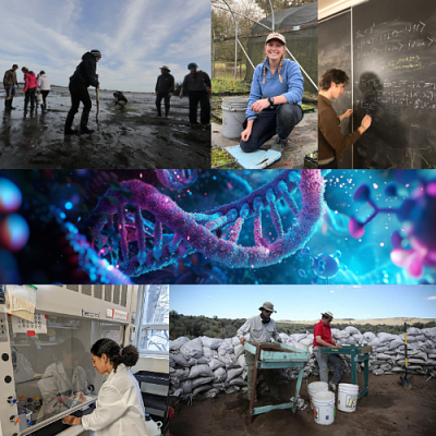 Collage of images: various field research, physics written on a chalkboard, lab research & AI DNA graphic