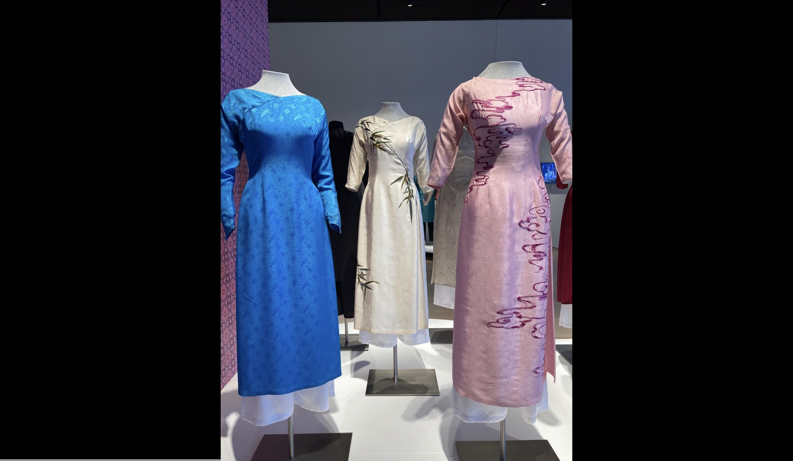Ao Dai Photo 2