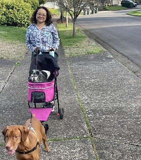Woman pushes a pink dog stroller along a treelined sidewalk; in the stroller is a small black-and-grey dog; on a leash in front of the stroller is a tall brown dog