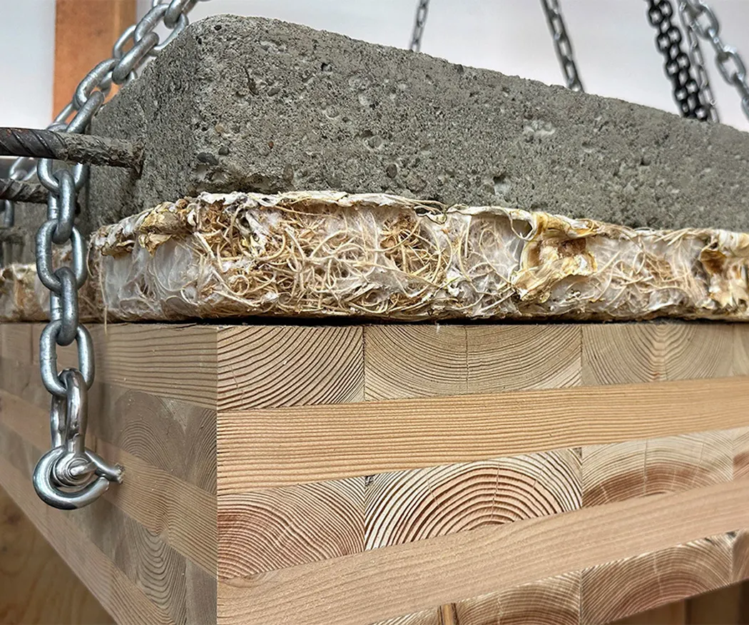 Mycelium test panel