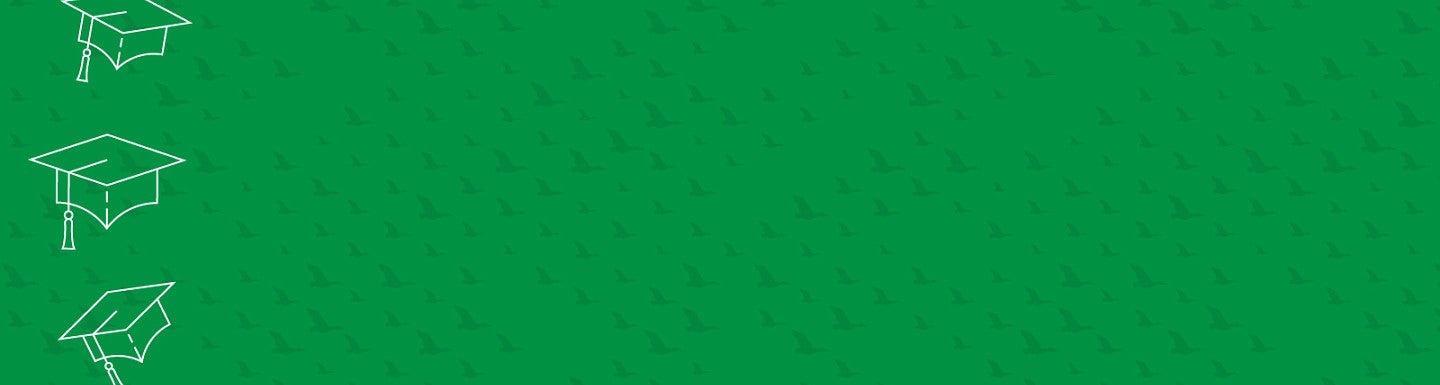 Solid background with slightly-visible pattern of ducks flying and simple digital line art of graduation caps bordering the left side
