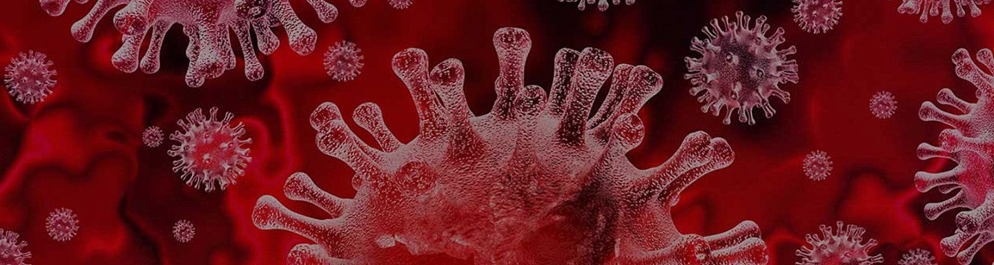 Illustration of a coronavirus cell