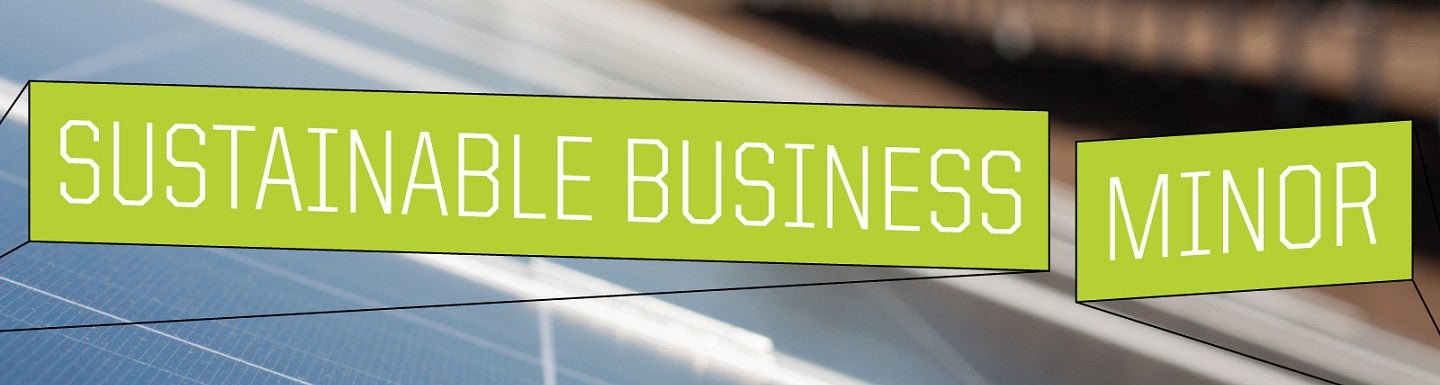Sustainable Business Minor